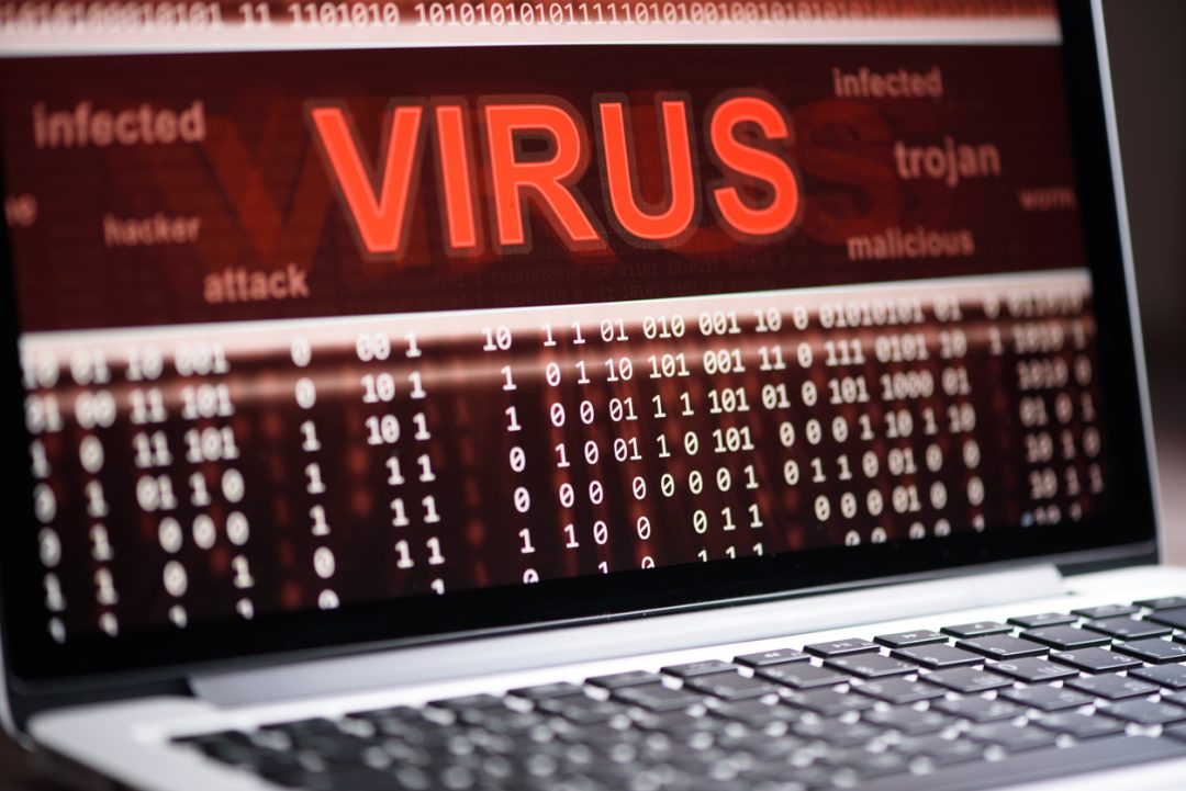 case study about computer virus